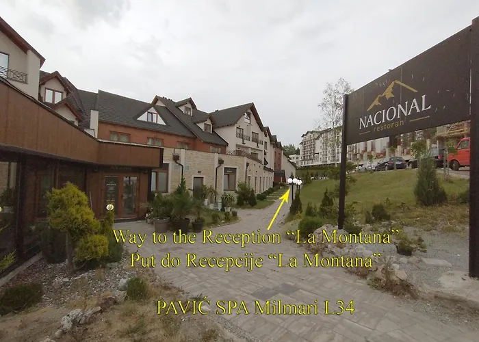 Pavic Milmari L34 카파오닉