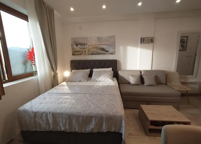 Pavic Milmari L34 카파오닉