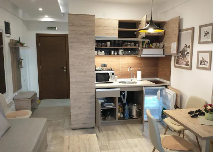 Pavic Milmari L34 아파트 카파오닉