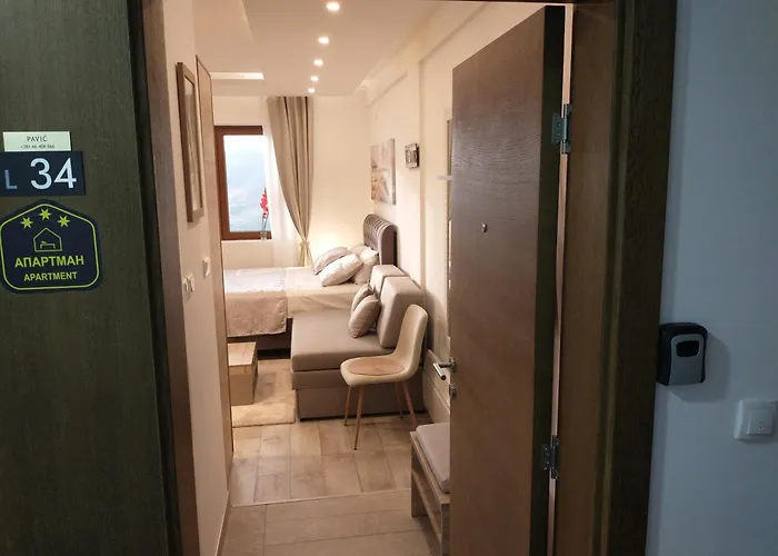 Pavic Milmari L34 카파오닉