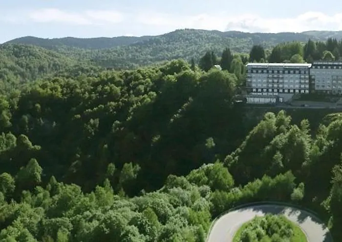 Pavic Milmari L34 카파오닉